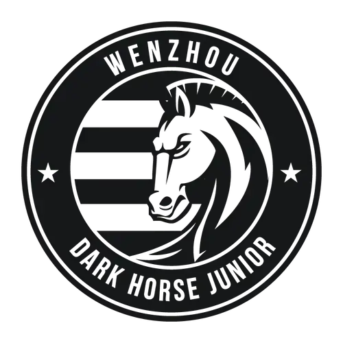 Wenzhou Professional Football Club