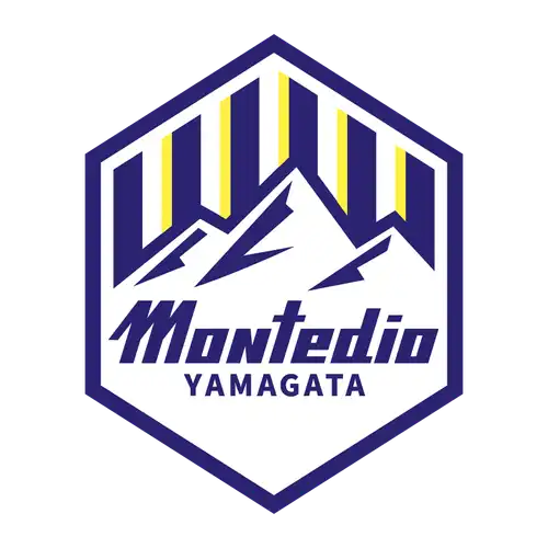 Montedio Yamagata Football Club