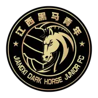 Jiangxi Dark Horse Junior Football Club