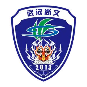 Wuhan Three Towns Football Club