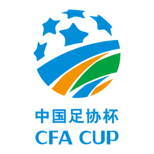 中国足球协会杯