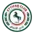 Al-Ettifaq Football Club