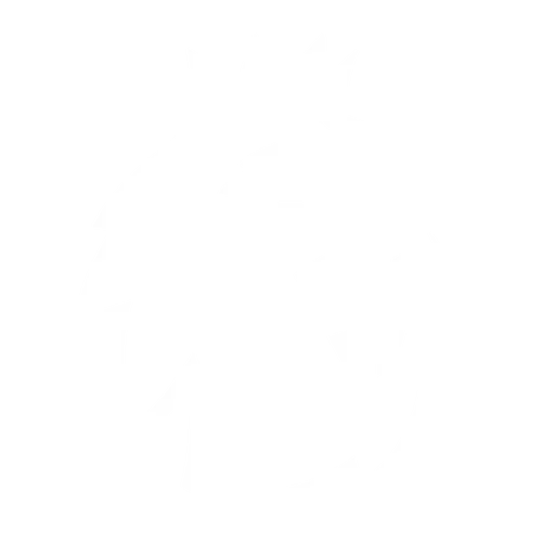 Premier League