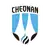 Cheonan City Football Club