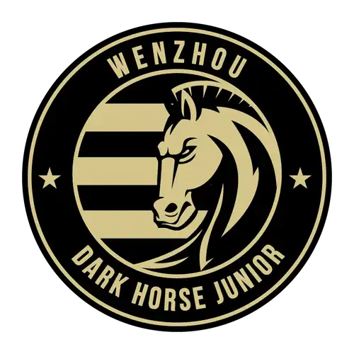 Wenzhou Professional Football Club