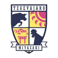 Tegevajaro Miyazaki Football Club