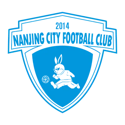 Nanjing City Football Club