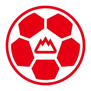 山东泰山足球俱乐部