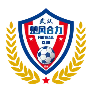 Hubei Istar Football Club