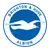 Brighton & Hove Albion Football Club