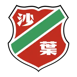 Nanjing Shaye Football Club