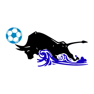 Qingdao Hainiu Football Club