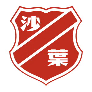 南京沙叶足球俱乐部