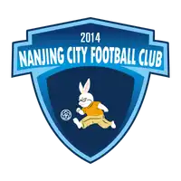 Nanjing City Football Club