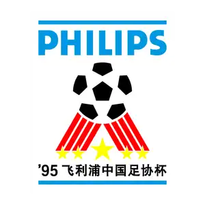 中国足球协会杯